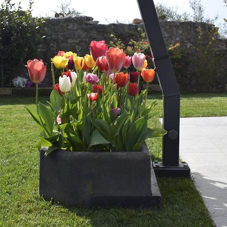 Appartamento Anna Brenzone sul Garda Exterior foto