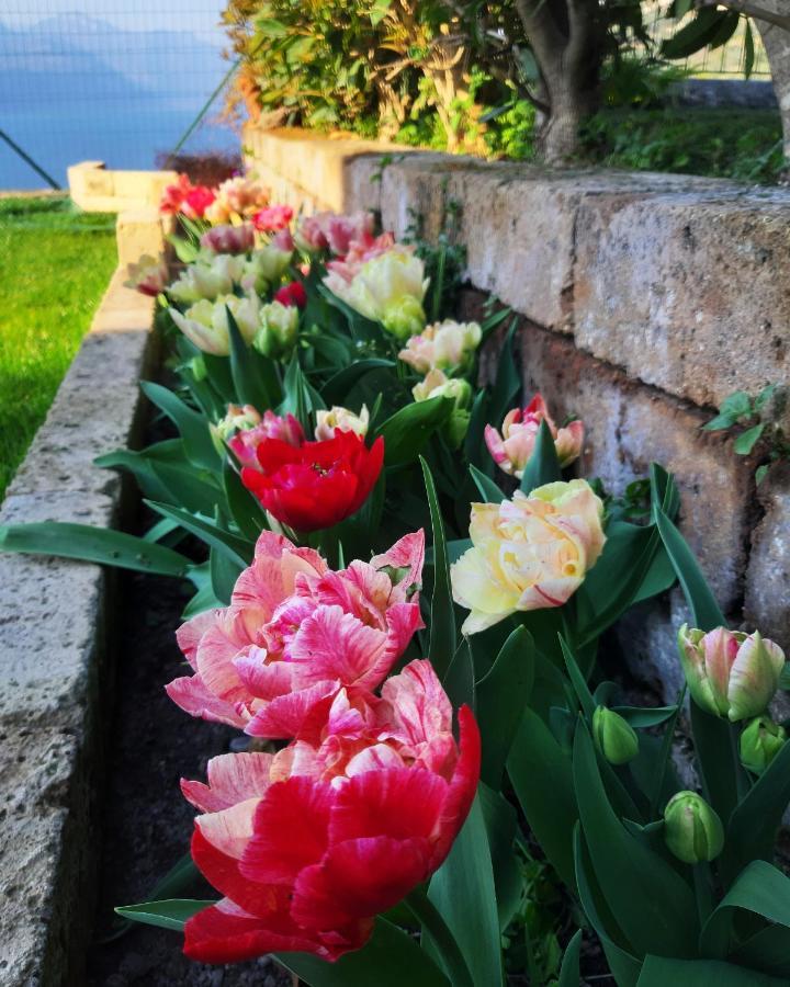 Appartamento Anna Brenzone sul Garda Exterior foto